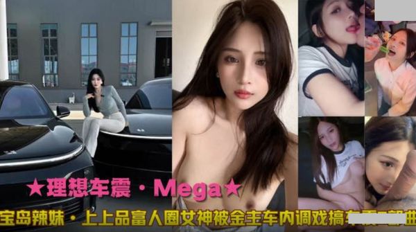 理想车震.Mega.宝岛辣妹.上上品富人圈女神被金主车内调戏搞车震